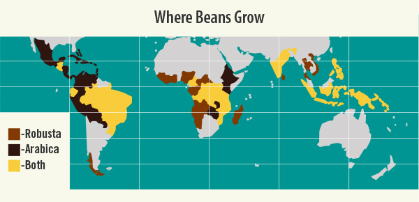 where arabica beans grow map